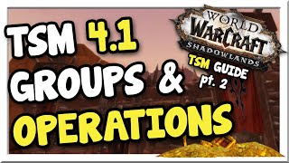 TSM 411 Group amp Operations Beginner Guide  Shadowlands  WoW Gold Making Guide [upl. by Jeroma]