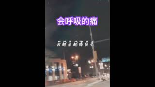 会呼吸的痛 治愈音乐 分享情感 正能量 [upl. by Nan]