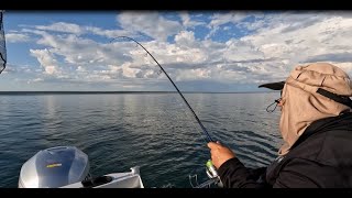 FISHING CORINELLA ON WESTERN PORT [upl. by Einahpit]