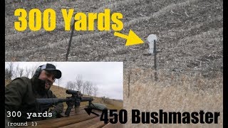 450 Bushmaster at 200 amp 300 Yards [upl. by Aivin11]