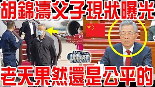 胡錦濤父子現狀曝光，老天果然還是公平的！ [upl. by Ahsika]