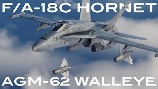 DCS FA18C  AGM62 Walleye II [upl. by Suitangi]