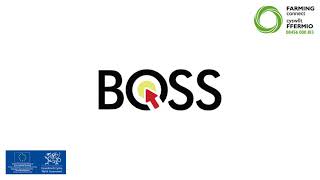 Log in to BOSS English [upl. by Voltmer]