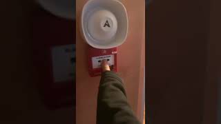 Alarme incendie premier montage [upl. by Cassiani]