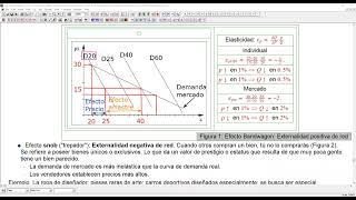 5b Elasticidad Externalidades de red y economía del comportamiento [upl. by Jeane522]