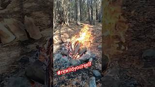 SlowMotion Campfire Engulfed In Spiritual Flame campfirevibes rewildyourself back2nature [upl. by Eversole403]