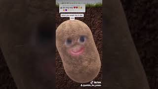 Wap Wet as Potato Tiktok by Pebble the Potato [upl. by Isma487]