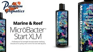 Brightwell Aquatics Microbacter Start XLM [upl. by Angelia]