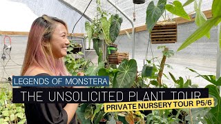 So Many Hoyas Unsolicited Plant Tour Part 56  Houseplant Nursery  Rare Monstera Philodendron [upl. by Ettevets744]