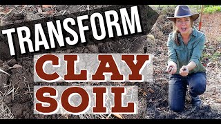 How Do I Improve Heavy Clay Soil in the Garden [upl. by Nahrut]