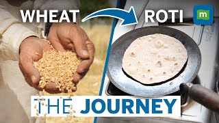 How Farmers Harvest Wheat  Tracking The Journey of Wheat From Farm To Plate  Short Documentary [upl. by Laraine]