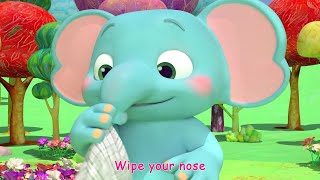 The Sneezing Song  CoComelon Nursery Rhymes amp Kids Songs  Cocomelon TV [upl. by Savanna269]