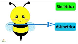 Simetría y Asimetría para preescolar 1 [upl. by Ahserb]