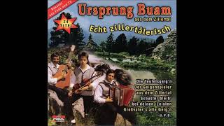 Ursprung Buam  Echt Zillertalerisch  album [upl. by Butta]