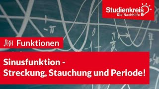 Sinusfunktion  Streckung Stauchung und Periode  Mathe verstehen mit dem Studienkreis [upl. by Siravrat]