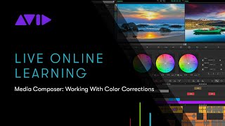 Avid Online Learning — Media Composer Working with Color Corrections [upl. by Haek27]