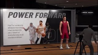 Best Glass Cleaner Build Power Forward NBA 2k19 [upl. by Unity]