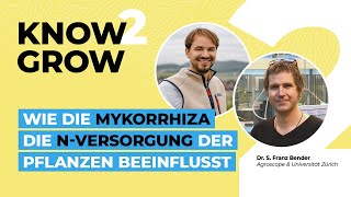 Wie die Mykorrhiza die NVersorgung der Pflanzen beeinflusst [upl. by Nadaha772]