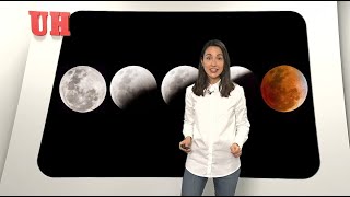 Calendario lunar cuándo es mejor cortarse el pelo [upl. by Marguerite]