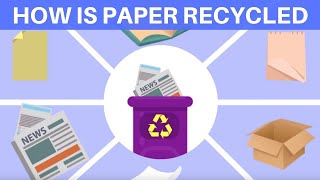 How Is Paper Recycled [upl. by Thomasa945]