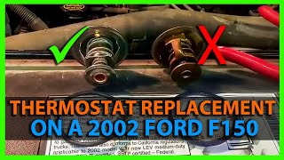 2002 Ford F150 Thermostat Replacement 9703 54L [upl. by Lemcke306]