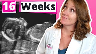 16 Weeks What to Expect  16 week Ultrasound [upl. by Cavuoto582]