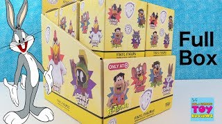 WB Warner Bros Funko Mystery Minis Target Exclusive Figure Unboxing  PSToyReviews [upl. by Loleta667]