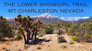 THE LOWER SHOWGIRIL TRAIL MT CHARLESTON NEVADA [upl. by Isus939]