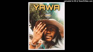 Yawa Fireboy DML amp DYLVN RMX [upl. by Bury]