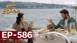 ShajareMamnu  Episode 586  Turkish Drama Forbidden Fruit  Urdu Dubbing  11 September 2023 [upl. by Haletta]