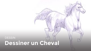 Comment dessiner un cheval  Apprendre à dessiner [upl. by Nilknarf164]