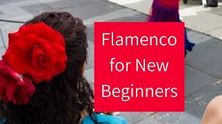 Flamenco Dance Basics  Learning the Fundamentals for New Beginners [upl. by Iduj]