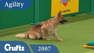 ABC Agility Final from Crufts 2007  Crufts Classics [upl. by Artema]