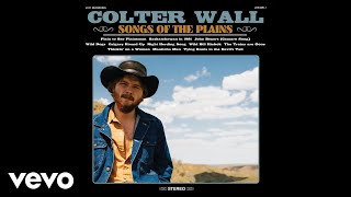 Colter Wall  The Trains are Gone Audio [upl. by Neelrahc]