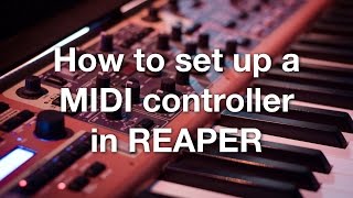 How to set up a MIDI controller in REAPER [upl. by Kissie]