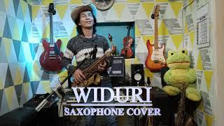 WIDURISAXOPHONECOVER [upl. by Aneelahs753]