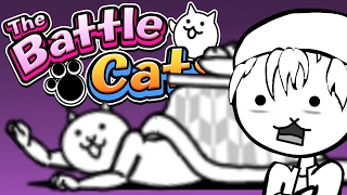 KOTATSU CAT  The Battle Cats Part 2  Gameplay Reaction Update 581 [upl. by Aennaej]