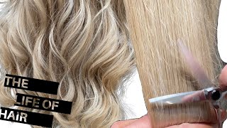 How To TrimCut Split Ends In Hair And Refresh Invisible Layers [upl. by Budworth]