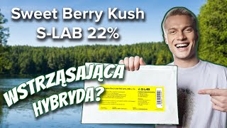 Sweet Berry Kush SLAB  Test i recenzja [upl. by Collin924]