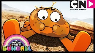 Gumball  Darwin Grows Legs  The Origins Part 2  Cartoon Network [upl. by Yhtommit602]