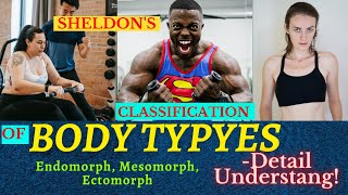 Somatotypes  Sheldons Body types  Endomorph Mesomorph and Ectomorph [upl. by Eagle182]