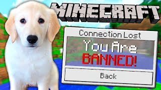 BANNING MY PUPPY IN MINECRAFT [upl. by Paapanen]