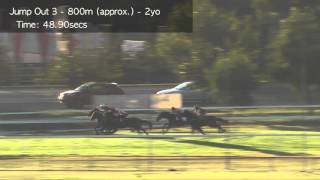 Cranbourne Jump Outs 26 April 2016 Jump Out 3 [upl. by Ketty]