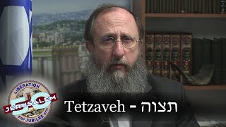 Weekly Torah Portion Tetzaveh [upl. by Nitaj231]