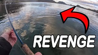 REVENGE Norway Seatrout Fly Fishing [upl. by Eelyr]