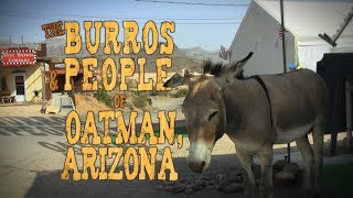 The Burros amp People of Oatman Arizona [upl. by Zsolway]