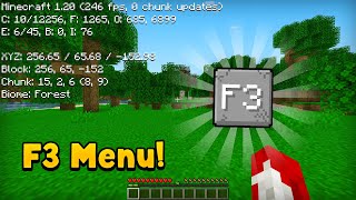 Debug Screen AddOn for Minecraft  Minecraft Bedrock 119  120 [upl. by Sikata315]