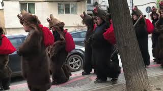 Vaslui Traditii si obiceiuri de anul nou Jocul ursului 🐻 [upl. by Prebo]