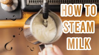 Basics of Milk Steaming and Frothing for Latte Art [upl. by Vary]