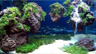 AQUASCAPE WATERFALL with LAVAROCK and MOSS [upl. by Accebber]